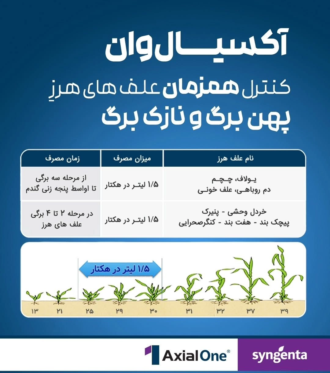 علف کش آکسیال وان سینجنتا