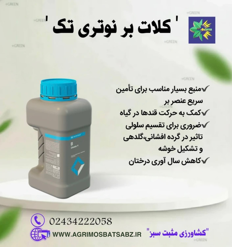 کود کلات بر 11 نوتری تک