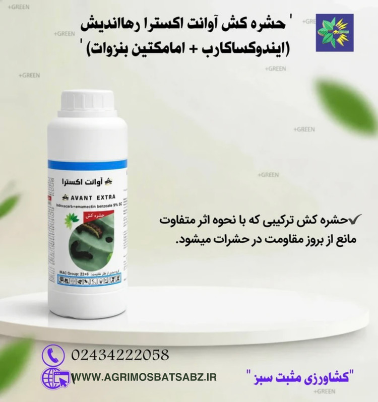 حشره کش آوانت اکسترا رهااندیش