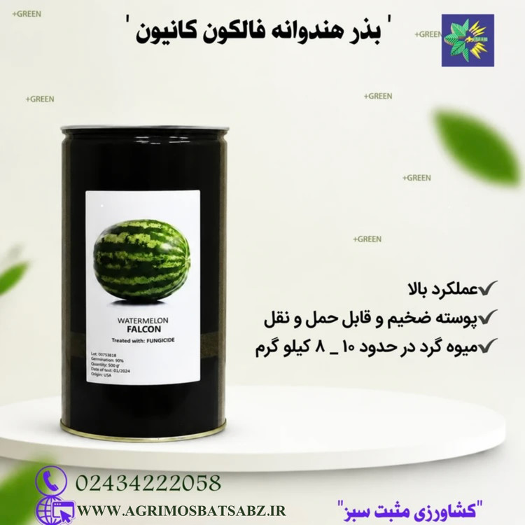 بذر هندوانه فالکون کانیون