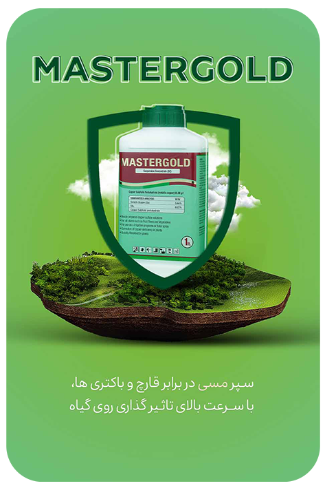 مستر گلد (مس محلول) 1 لیتری