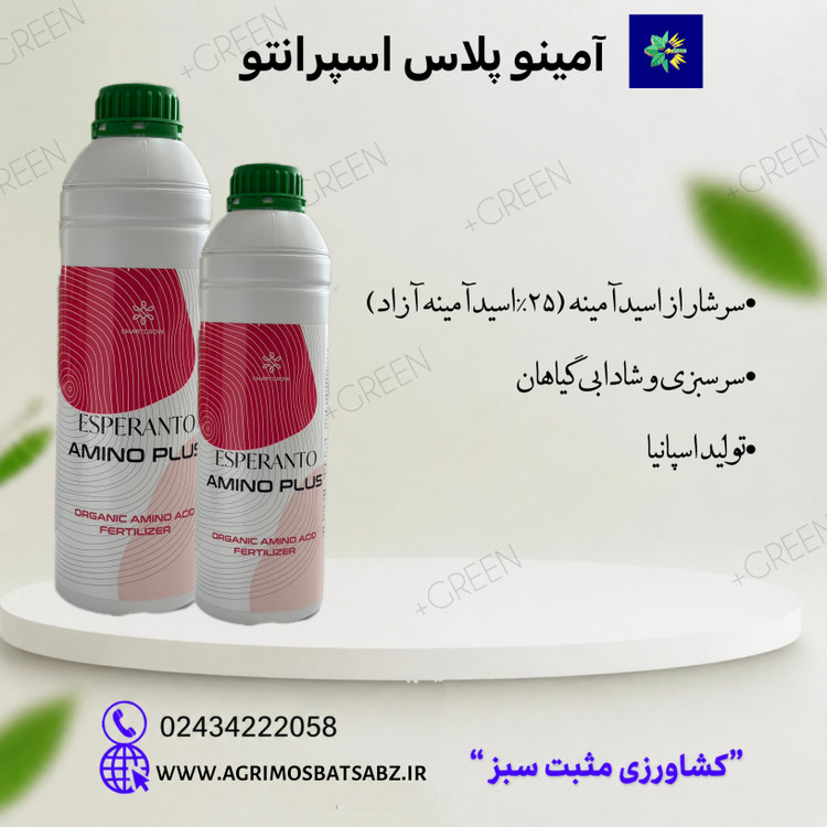 آمینو اسید اسپرانتو آمینو پلاس